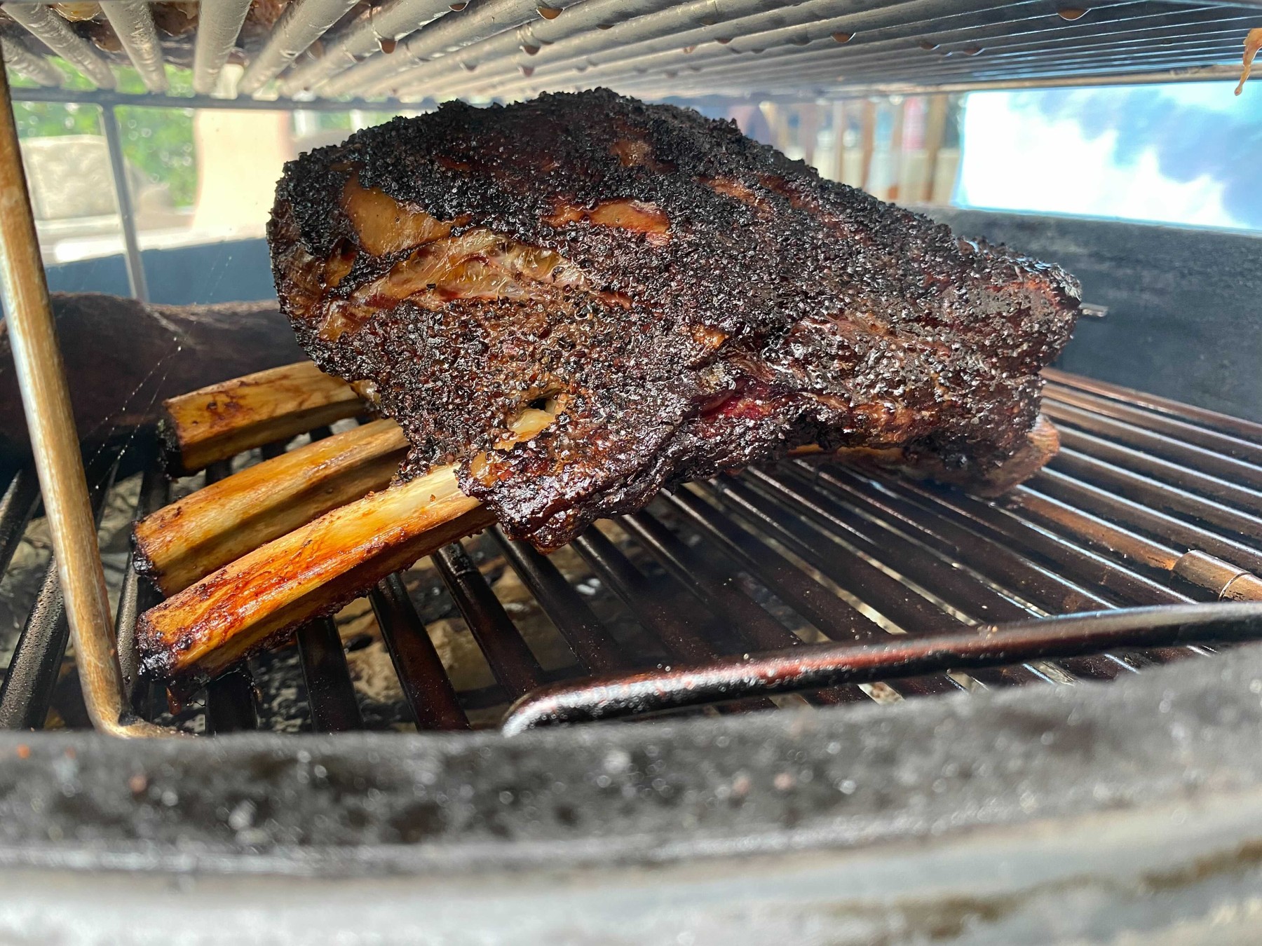 Dicke geräucherte Beef Plate Short Ribs mit dunkler Salz-Pfeffer-Kruste auf dem Grillrost
