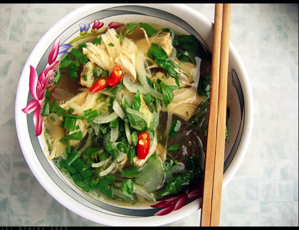 Schale Miến Gà mit Glasnudeln, Hähnchen und Kräutern